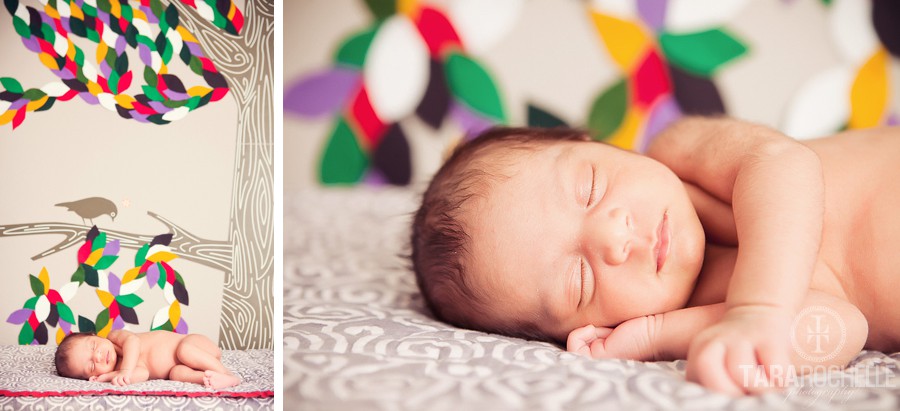 Newborn Baby Portraits Photography in Santa Clarita
