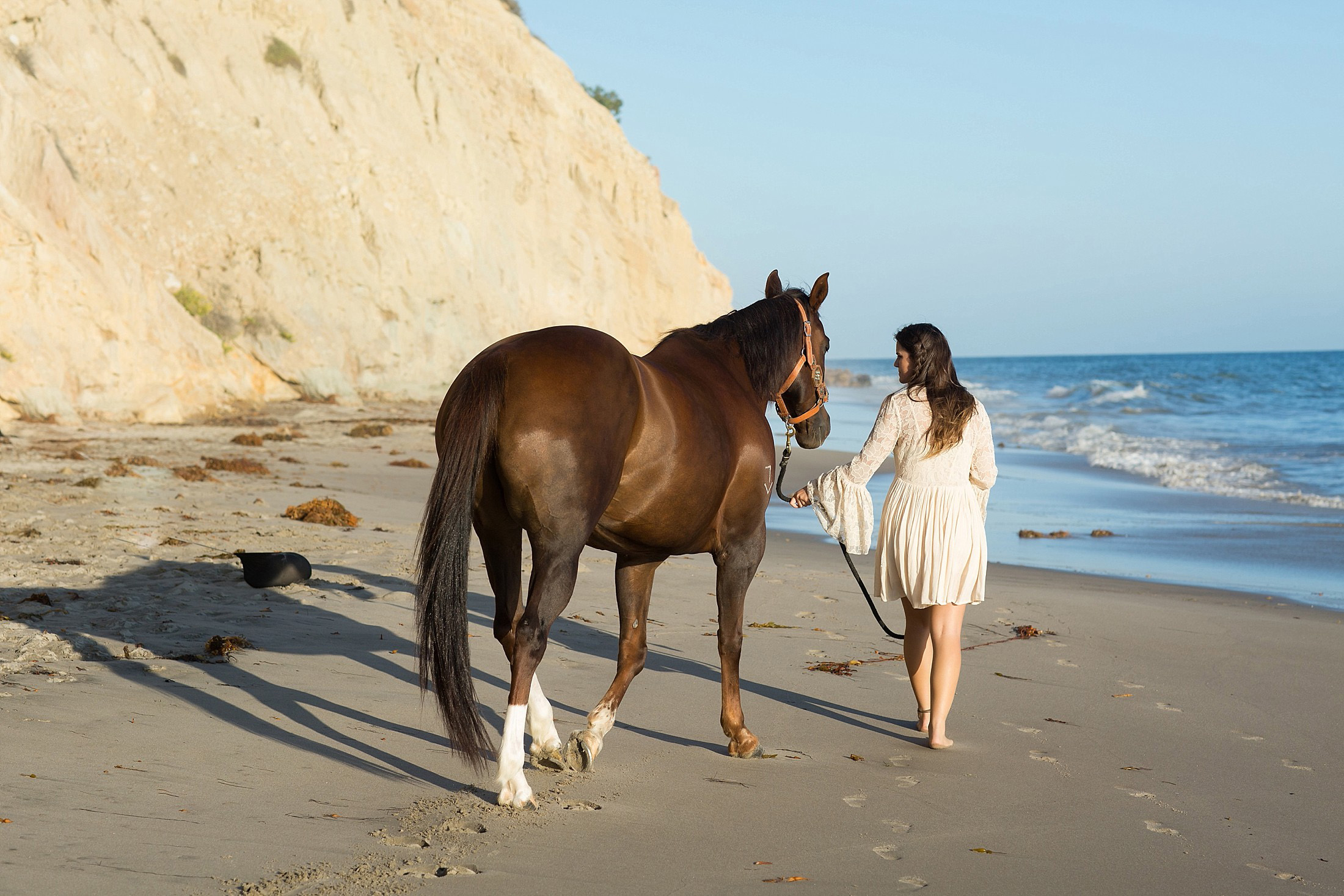 Horse Senior pictures on the beach in Santa Barbara California