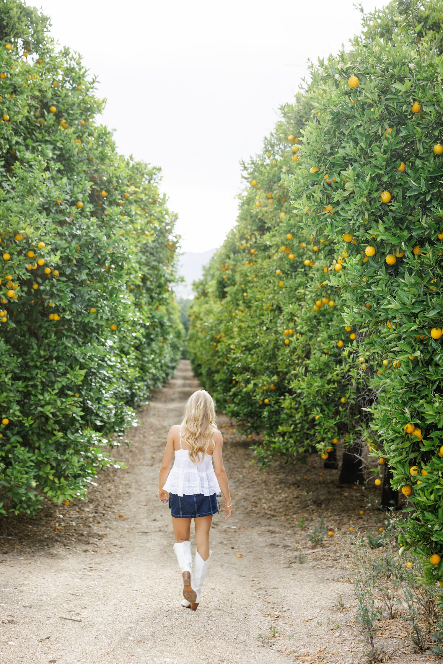 senior portraits orange grove Ventura County Southern California